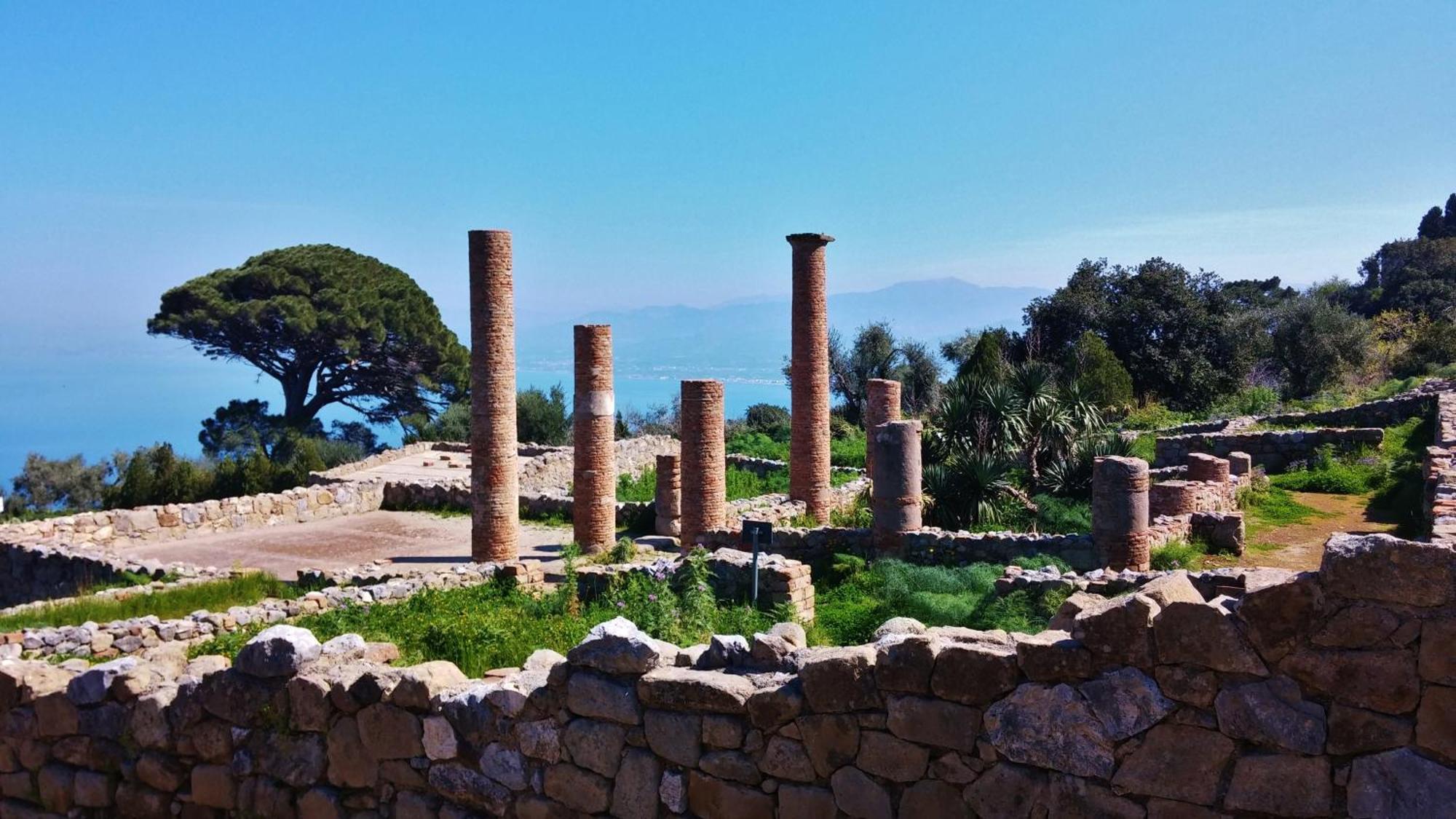 B&B Il Giardino Di Zefiro Gioiosa Marea Εξωτερικό φωτογραφία